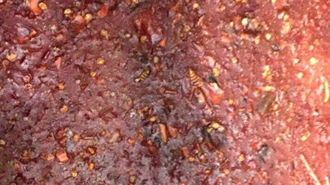 Phát hiện hàng tấn tương ớt bẩn, dòi bọ lúc nhúc Ảnh 2