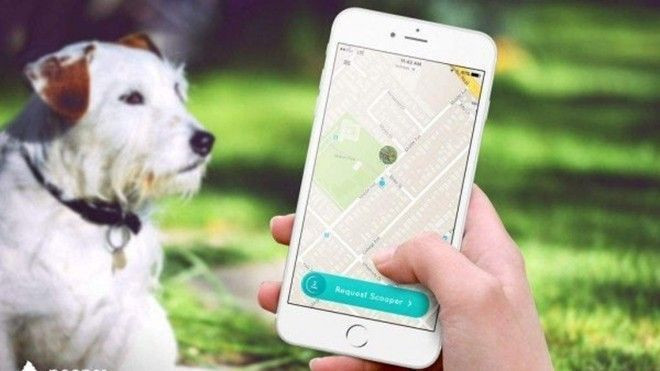 Chuyện lạ khó tin: Đã có ứng dụng nhặt phân chó Ảnh 2