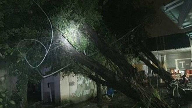 Giông lốc dữ dội cuốn tung mái hàng loạt nhà dân ở Sài Gòn Ảnh 2