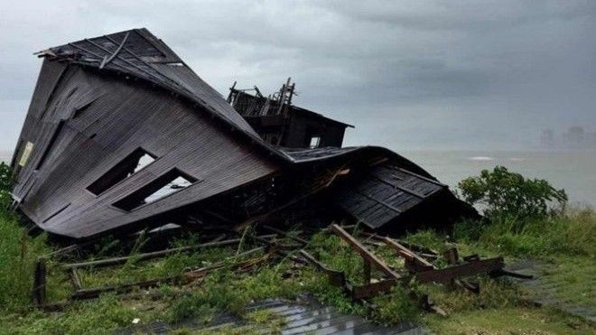 Cây bật rễ, nhà sập… dưới sức gió khủng khiếp của bão Nida Ảnh 2