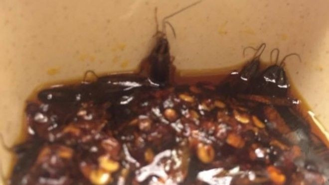 Kinh hãi gián lúc nhúc trong đồ ăn của nhà hàng sang trọng ở Hà Nội Ảnh 2