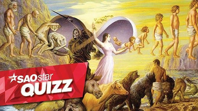 Test ngay bài trắc nghiệm này để biết kiếp sau bạn sẽ là ai Ảnh 2