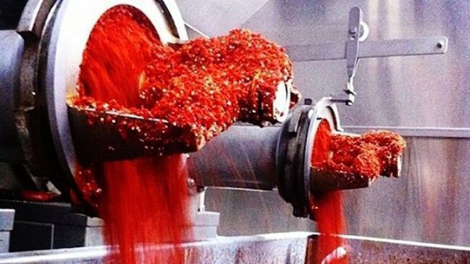 Đột nhập xưởng sản xuất tương ớt 'hái ra tiền' của triệu phú Mỹ gốc Việt Ảnh 2