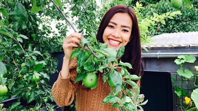 'Gato' với vườn rau sạch của cô nàng Việt kiều xinh đẹp Ảnh 2