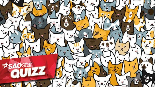 Căng mắt tìm những ‘kẻ mạo danh’ lẩn trốn trong bức ảnh Ảnh 2