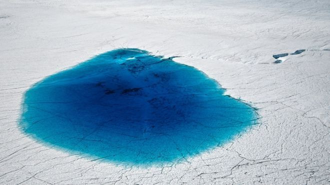 Thảm họa đằng sau các vệt xanh xinh đẹp đang xuất hiện ngày càng nhiều tại Nam Cực Ảnh 2