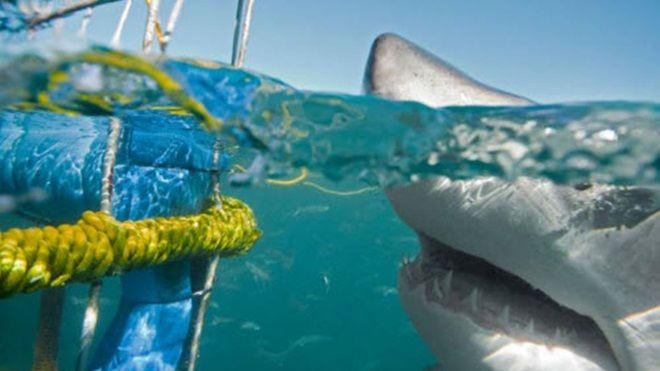 Những bãi biển nguy hiểm nhất thế giới Ảnh 2