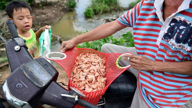 TP HCM: Cuộc sống đảo lộn khi ở cạnh bãi rác Đa Phước Ảnh 2