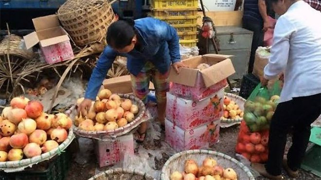 Tám loại hoa quả Trung Quốc nhập về Việt Nam nhiều nhất Ảnh 2