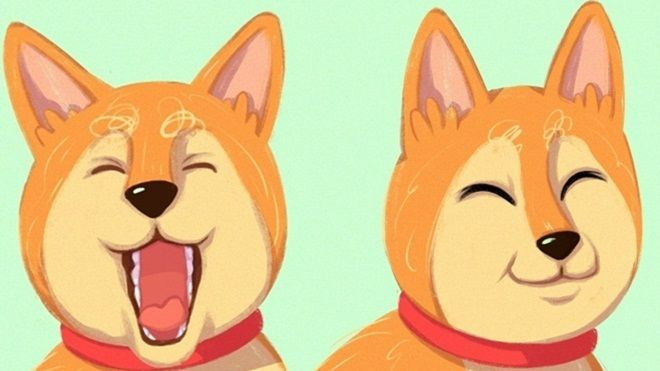 Bật mí những 'mật mã' bí mật mà chỉ một người nuôi chó xuất sắc mới hiểu Ảnh 2