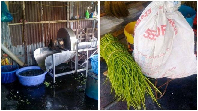 Phát hiện hàng tấn rau muống ngâm hóa chất nhuộm quần áo để xanh tươi Ảnh 2