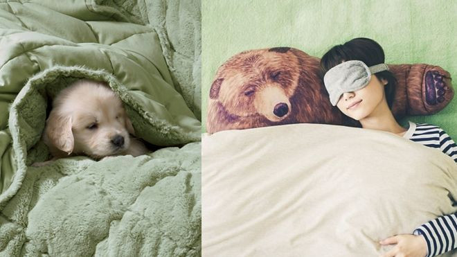 Trời lạnh và âm u mãi, về nhà ngủ thôi… Ảnh 2