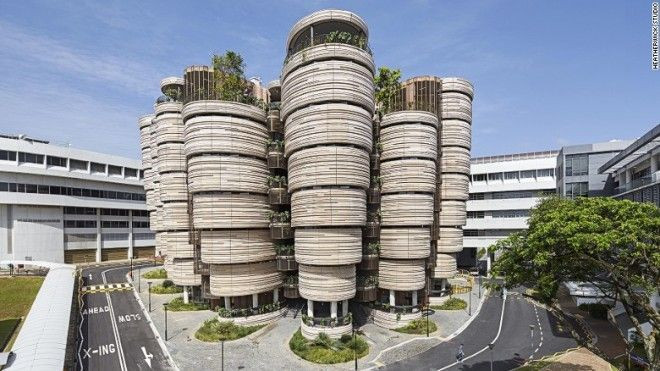 Bạn sẽ không thể tin trường học trong tương lai lại đẹp đến mức này Ảnh 2