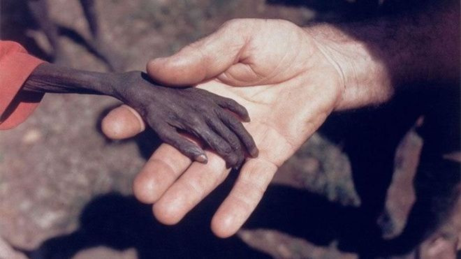 Những khoảnh khắc ấn tượng thức tỉnh con người trong ngày Quốc tế Hòa bình Ảnh 2