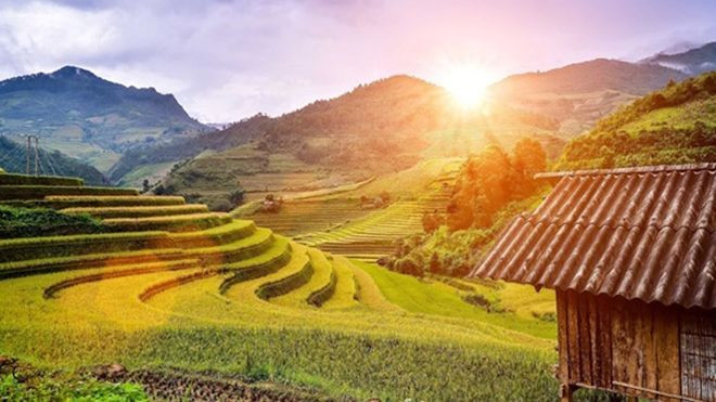 Nhìn hoa và ruộng bậc thang trên đường phượt mùa thu, chỉ muốn đi ngay và luôn Ảnh 2