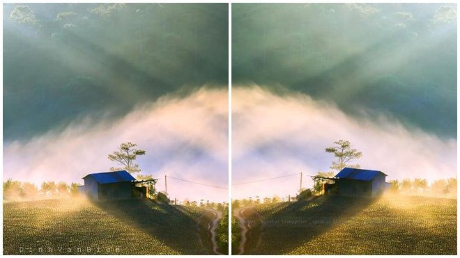 'Nhiếp ảnh gia' nổi tiếng bị đồng nghiệp 'bóc phốt' vì đạo ảnh Ảnh 2