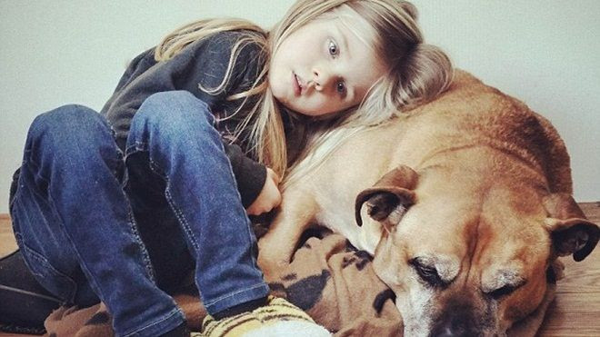 Cuộc chia tay cuối cùng của bé gái với chú chó vừa mù vừa điếc chạm đến trái tim hàng triệu người Ảnh 2