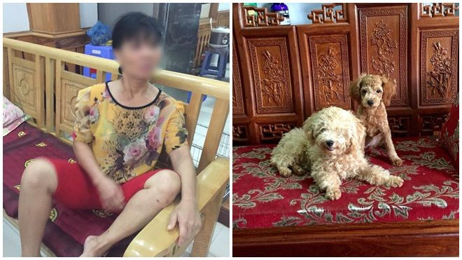 Xem camera, chủ nhà tá hỏa khi biết người giúp việc nhẫn tâm giết chết 2 chú chó Poodle của mình Ảnh 2