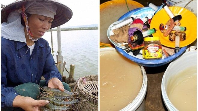 Tôm Việt bị bơm tạp chất lên báo nước ngoài, gây hoang mang cho giới ẩm thực quốc tế Ảnh 2