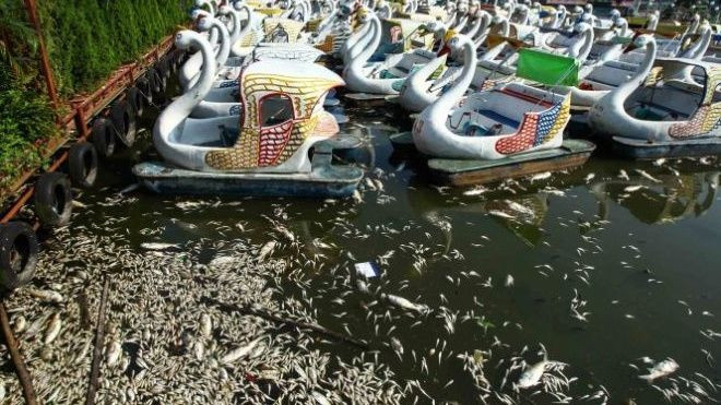 Công viên nước nói về nghi vấn xả thải trực tiếp ra Hồ Tây Ảnh 2