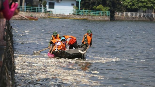 Clip: Khám phá lộ trình của xe chở cá chết Hồ Tây Ảnh 2