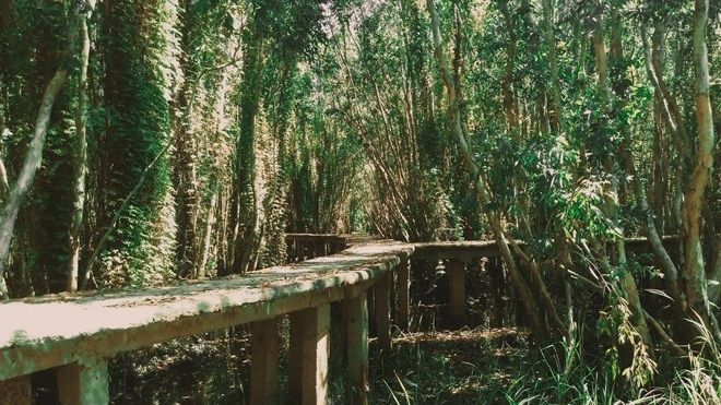 Những điểm đến hoang sơ gần TP.HCM cho chuyến đi một ngày Ảnh 2