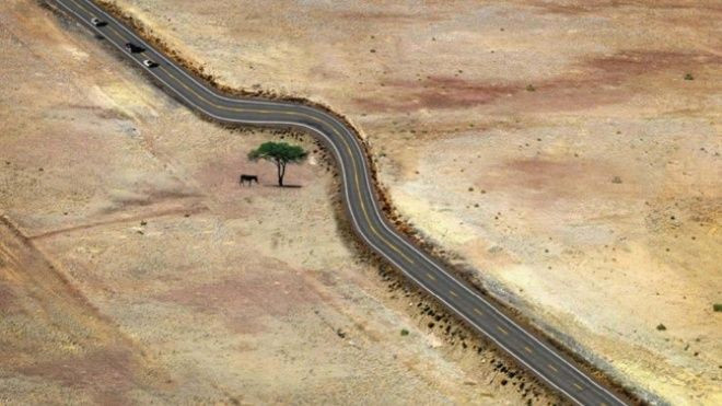 Nếu con người cứ yêu thương thiên nhiên thế này thì tốt biết mấy… Ảnh 2