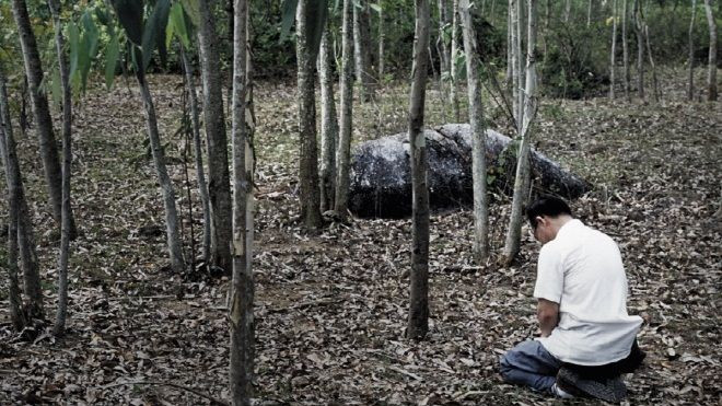 Người Hàn Quốc và phong trào 'thành thật xin lỗi Việt Nam' Ảnh 2