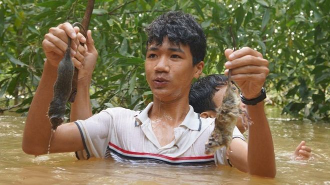Trẻ em Nghệ An ngụp lặn trong nước lũ săn chuột đồng nướng ăn Ảnh 2