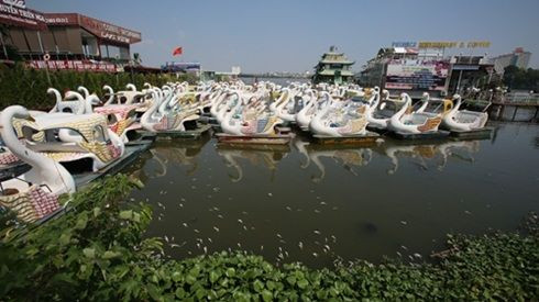 Hà Nội tạm dừng hoạt động bến thủy hồ Tây Ảnh 2