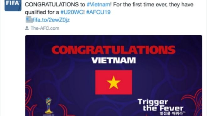 Ai nói 'rau muống' không thể vươn tầm ra thế giới? Ảnh 2