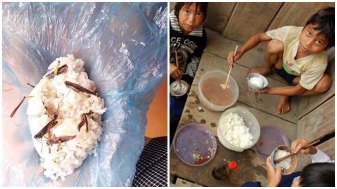 Nắm cơm nhỏ bọc trong mảnh nilon của học trò nghèo vùng cao khiến nhiều người rơi nước mắt Ảnh 2