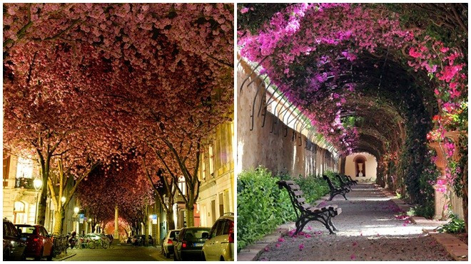 Những con đường thơ mộng nhất hành tinh Ảnh 2