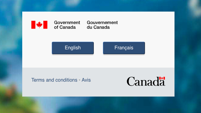 Website di trú Canada liên tục 'sập' trước sự thắng thế của Donald Trump Ảnh 2