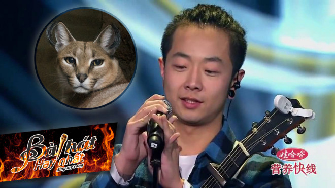 Mượn kiếp mèo hoang, chàng trai trẻ khiến cả sân khấu SMS Trung Quốc 'nín thở' xúc động Ảnh 2