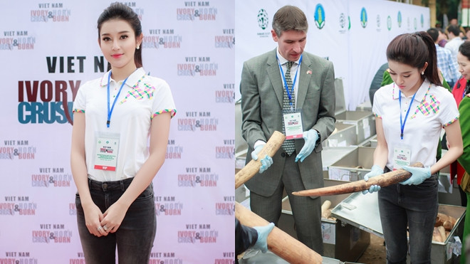 Huyền My giản dị tham dự buổi tiêu hủy ngà voi và sừng tê giác Ảnh 2