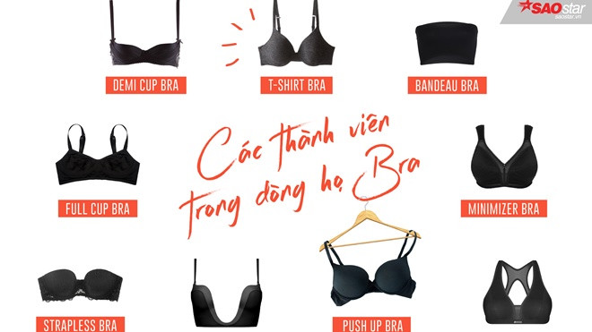 Bra lên tiếng: đã đến lúc các nàng chớ xem nhẹ người bạn này! Ảnh 2