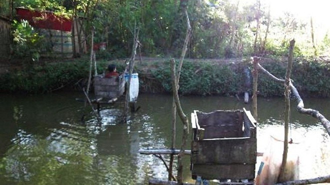 Việt Nam còn 5 triệu người phóng uế bừa bãi Ảnh 2