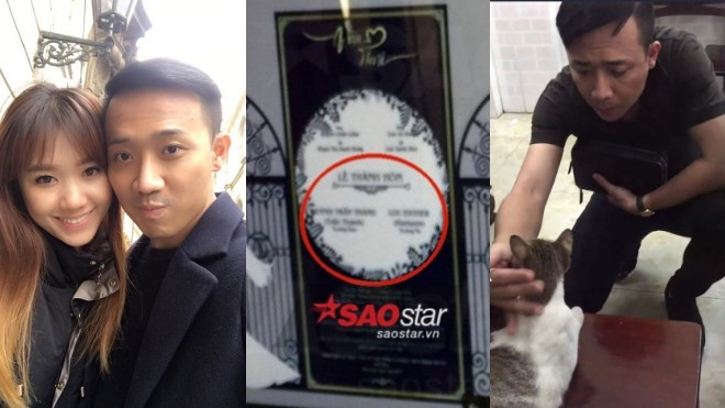 Mặc thiệp cưới bị rò rỉ, Hari Won vẫn 'khoe' clip Trấn Thành nhường chỗ cho mèo Ảnh 2