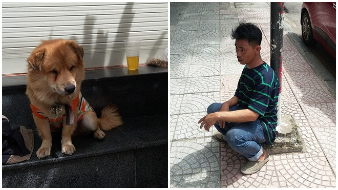 Anh đánh giày câm và chú chó mù bị đánh đập, mất cắp gây phẫn nộ Ảnh 2