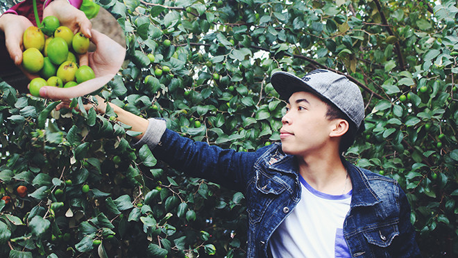 Đến đây bạn chỉ mất 10 nghìn đồng để 'sở hữu' cả vườn táo ăn đến ngất xỉu thì thôi Ảnh 2