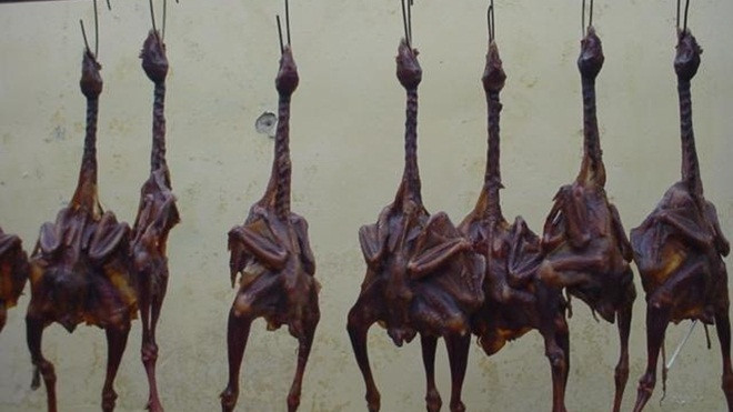 Sự thật rợn người sau món đặc sản đắt đỏ bậc nhất Ảnh 2