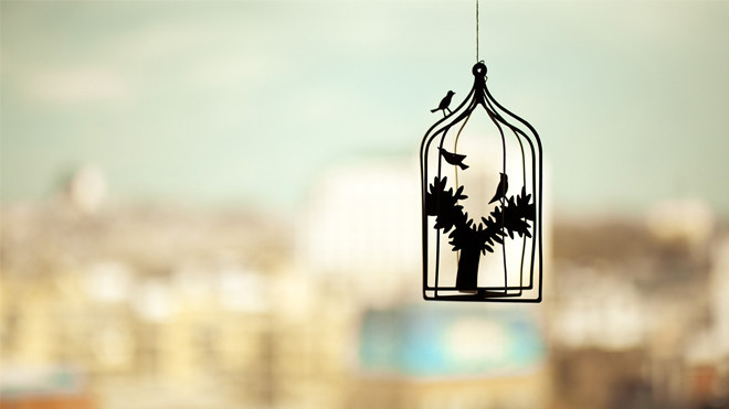 Sau 25, các bạn sẽ buồn bền vững hơn, cô đơn bài bản hơn, giận dữ quy trình hơn và yêu tử tế hơn! Ảnh 2