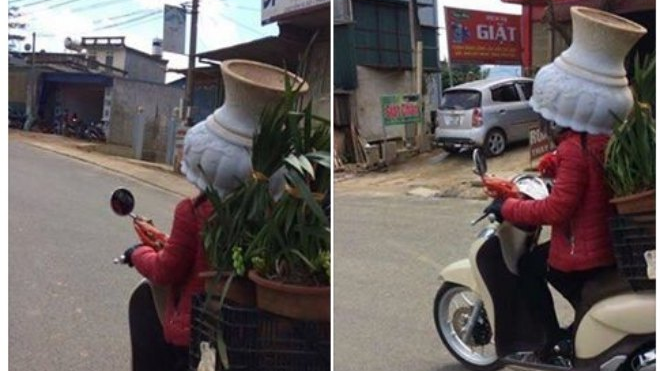 Hết hồn mốt mũ bảo hiểm mới do chị em tạo ra: Chậu cây đội đầu Ảnh 2