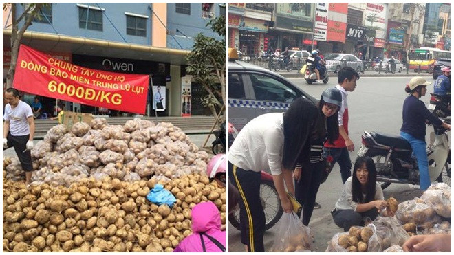 Người Hà Nội rủ nhau chung tay mua củ đậu giúp bà con Quảng Ngãi sau mưa lũ Ảnh 2