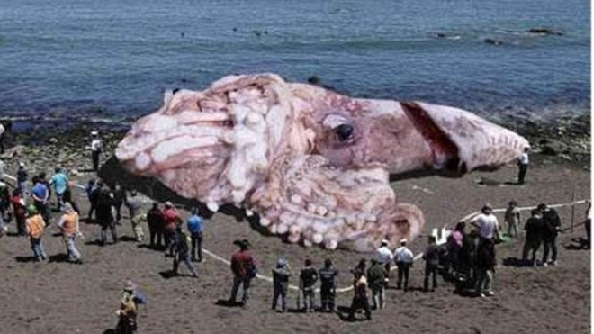 'Bóc phốt' 9 bức ảnh từng gây chấn động toàn thế giới Ảnh 2