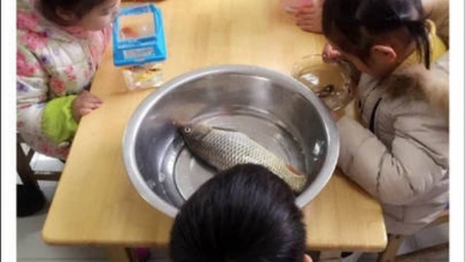 Sau 'cô bé Vô Diện', đến lượt con cá khác biệt của cậu bé này khiến người ta cười lăn lộn Ảnh 2