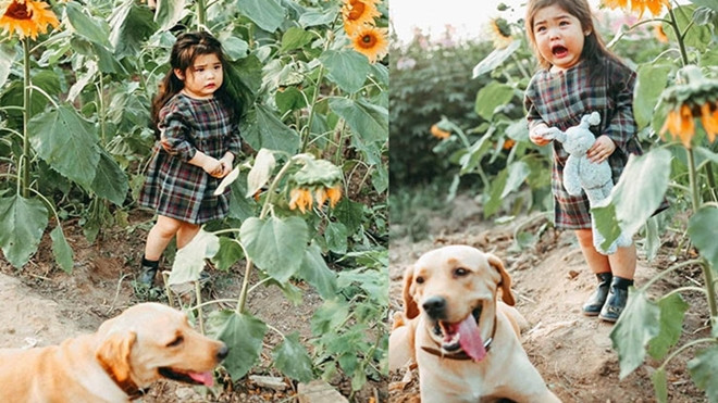 Biểu cảm sợ chó vô cùng đáng yêu của 2 cô bé 'gây sốt' cộng đồng mạng Ảnh 2