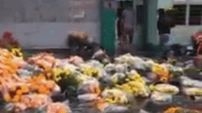 Clip: Mưa ngập đường ở Sài Gòn, hoa Tết chưa bán đã bị trôi tứ tung Ảnh 2