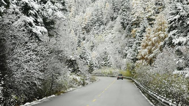 Mưa băng tuyết phủ đầy trên nóc nhà Đông Dương Fansipan Ảnh 2